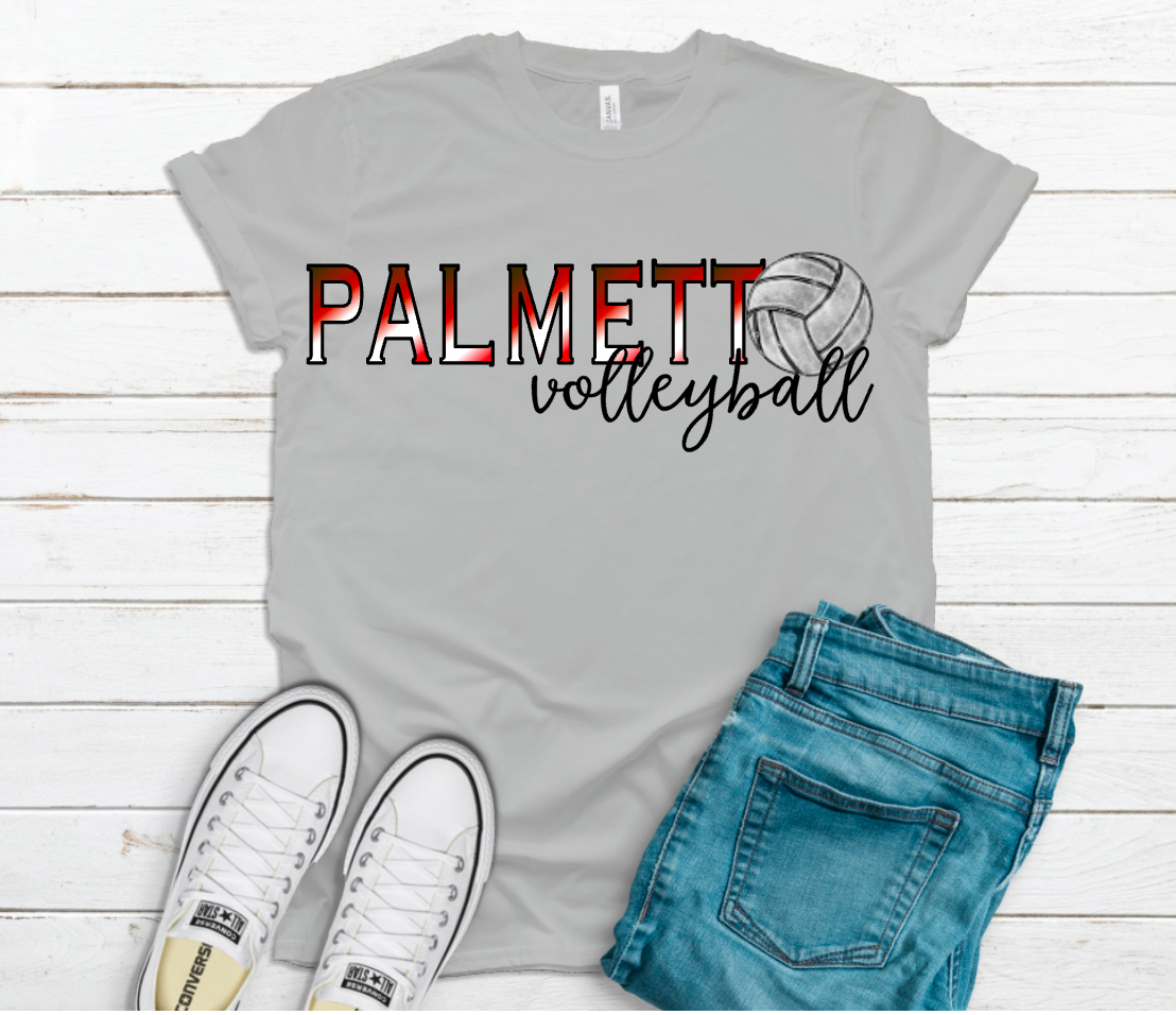 Palmetto Volleyball