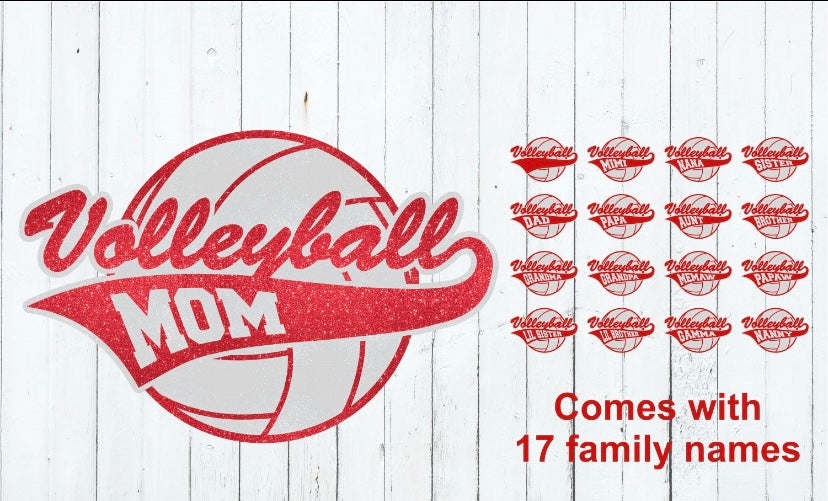 Volleyball Dad/Mom/Family (personalized)