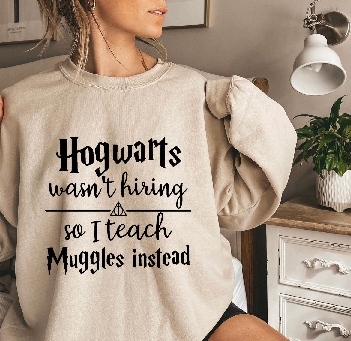 Teaching Muggles HP